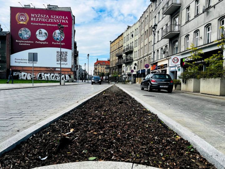 zdjęcie dekoracyjne