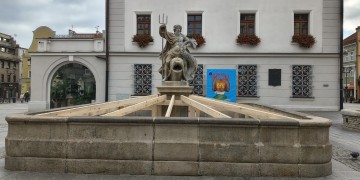 zdjęcie dekoracyjne