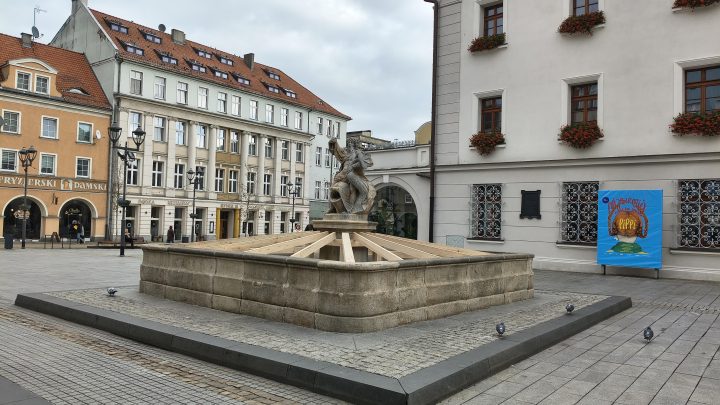 zdjęcie dekoracyjne