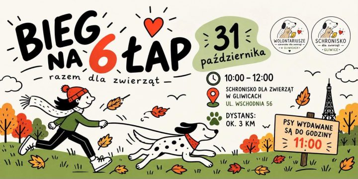 zdjęcie dekoracyjne