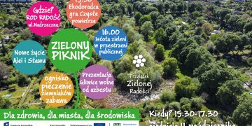 zdjęcie dekoracyjne