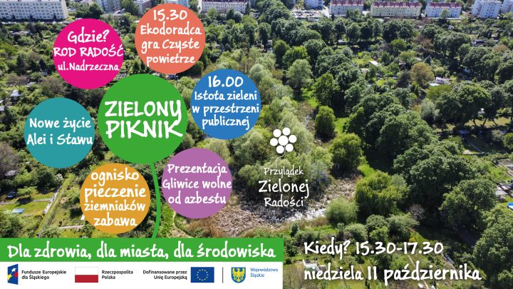 zdjęcie dekoracyjne