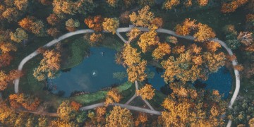 zdjęcie dekoracyjne