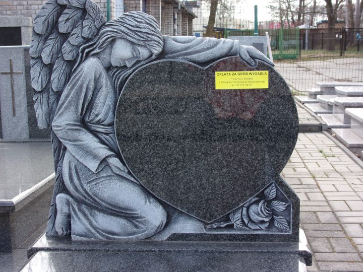 zdjęcie dekoracyjne