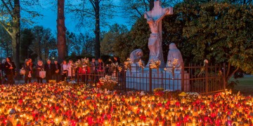 zdjęcie dekoracyjne
